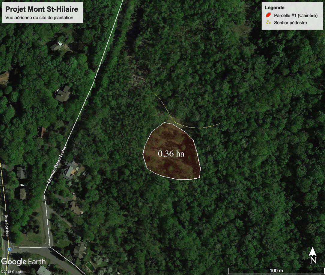 Vue_aérienne_St-Hilaire(0,36ha).jpg