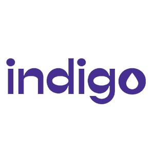 Indigo Soda